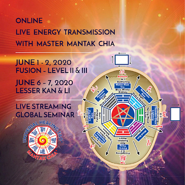 (E) Lesser Kan & Li - Online-LIVE-Teaching - 2-days (English, German, Italian, French, Russian, Romanian, Spanish)