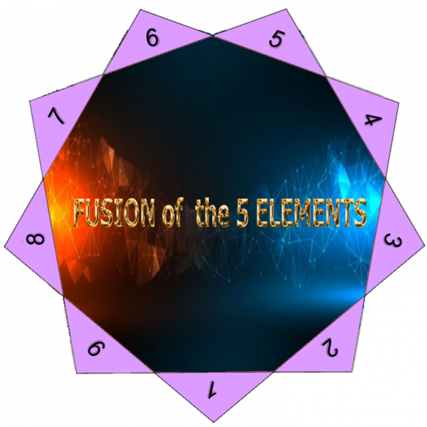 ::: FUSION der 5 Elemente 1 ::: Ausbildungs- und Zertifizierungskurs